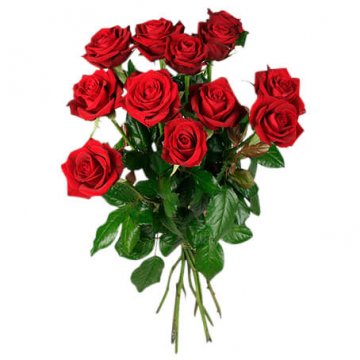 Ett dussin röda rosor. Beställ ditt blomsterbud hos Florister i Sverige. Gör pappa glad med ett fång röda rosor!