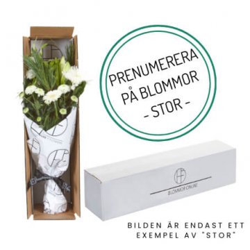 Prenumerera på blommor via Florister i Sverige